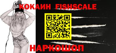 стаф Гатчина