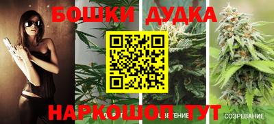 прущие грибы Гай
