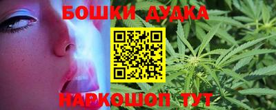 стаф Гатчина
