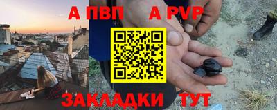 стаф Гатчина