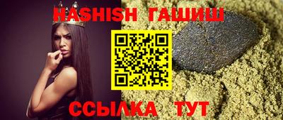 стаф Гатчина