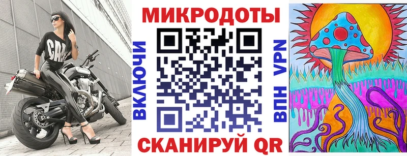 как найти   Звенигород  Псилоцибиновые грибы мицелий 