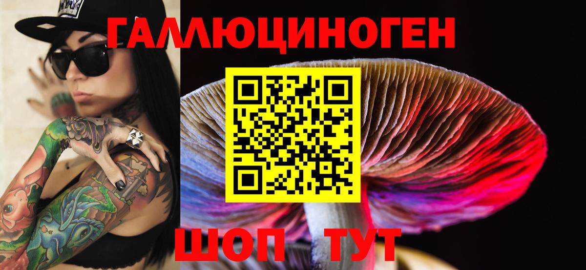 Звенигород  Галлюциногенные грибы Psilocybine cubensis  где купить наркотик  Вход с VPN 