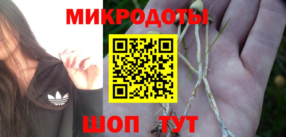 Галлюциногенные грибы GOLDEN TEACHER Звенигород