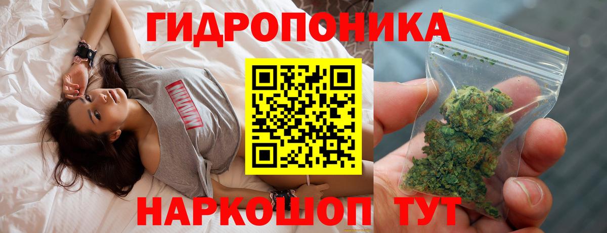 Конопля марихуана  Каннабис конопля  Звенигород  Бошки марихуана SATIVA & INDICA  Конопля семена 